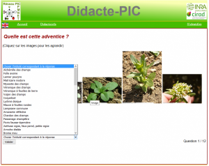 Copie d'écran du site Didacte-PIC