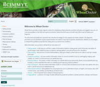 Home page of the Website "Wheat Doctor"